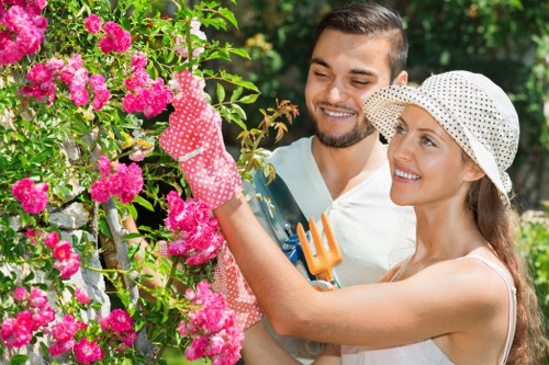 Healthy trees contributing to Earls Court's urban environment
